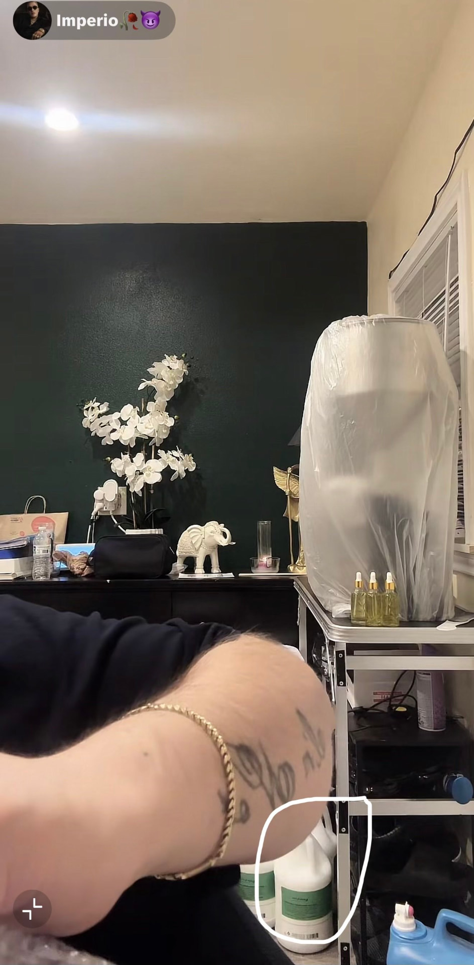 Livestream screenshot with gallon containers circled beneath a table.